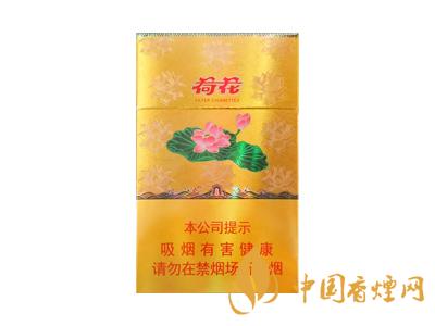 鉆石(新一品金荷花)圖片