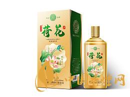 荷花醬酒怎么樣 荷花醬酒多少錢(qián)一瓶