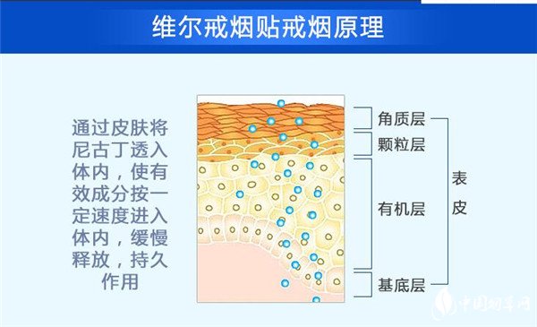 維爾戒煙貼怎么樣 天津維爾戒煙貼戒煙成效高達98%