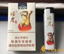 昭君煙多少錢一盒 大青山昭君出塞香煙口感評測